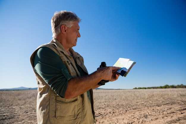 Современные интерпретации и наследие