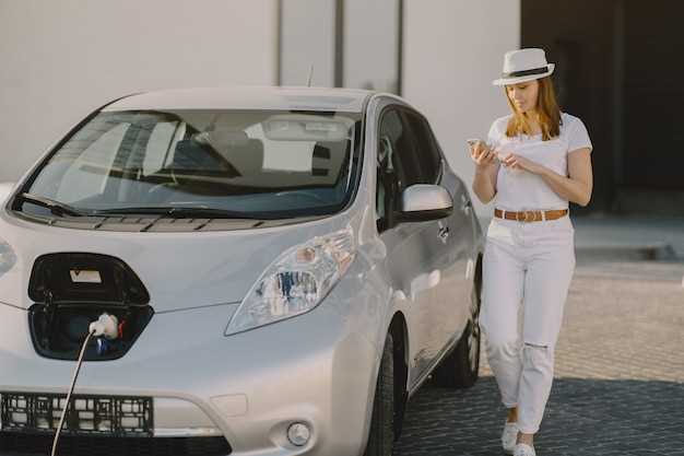 Подготовка к прошивке Nissan Leaf