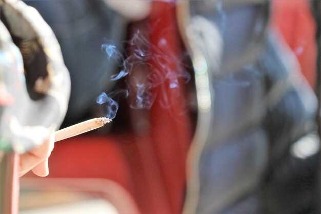 Подготовка к прошивке: что нужно знать?