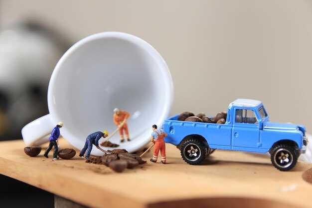 Обслуживание и ремонт: что нужно знать